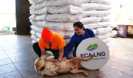 Re�nen voluntarios y ECALNG 6 mil 250 kg de alimento para mascotas