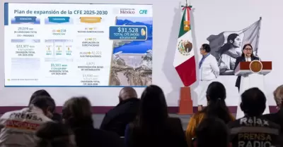 Emilia Calleja Alor, directora de CFE