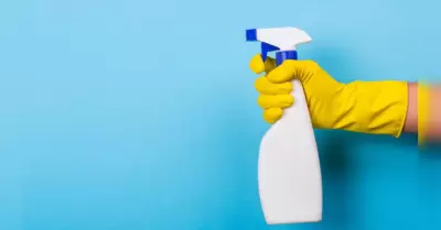 Impulsan limpieza de primavera con enfoque ecológico y de prevención