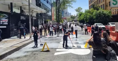Senado