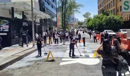 Senado