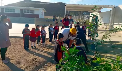 Plantan ms de 160 rboles en la ciudad
