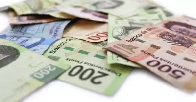 Reparto de utilidades