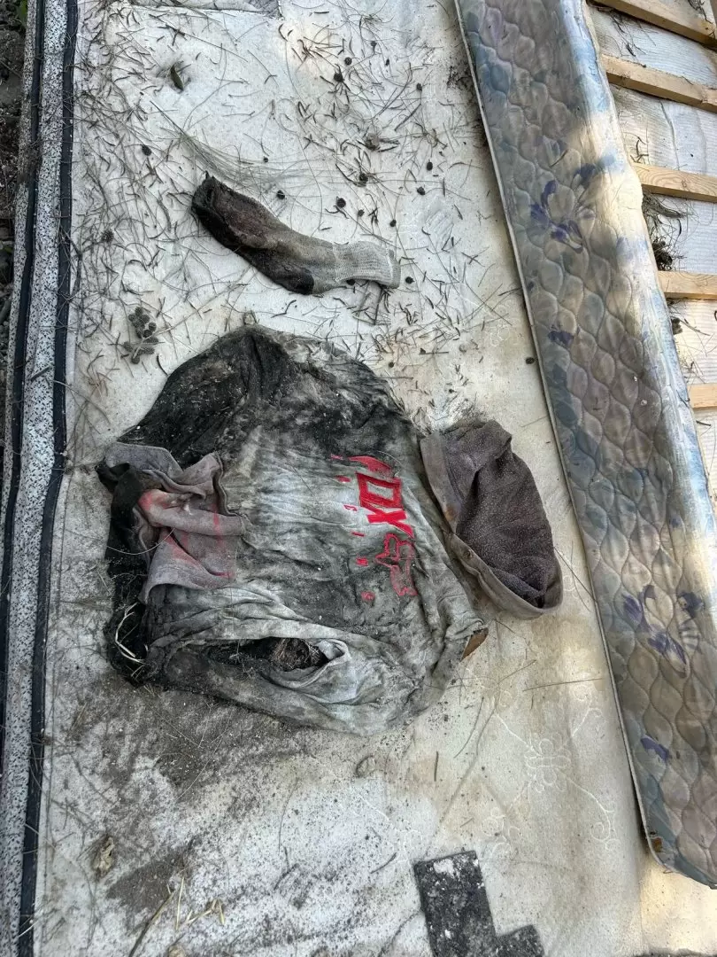 Colectivo Familiares Unidos Buscando a Nuestros Desaparecidos