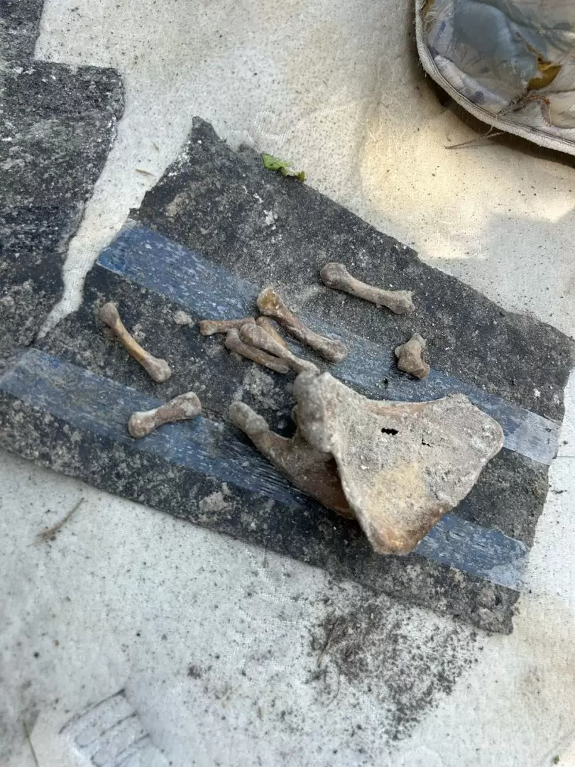 Colectivo Familiares Unidos Buscando a Nuestros Desaparecidos