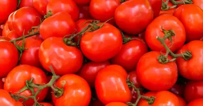 Tomates