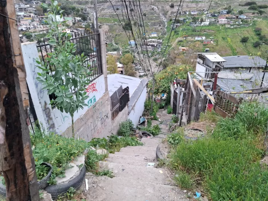 Cateo en la colonia Can de las Carretas