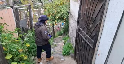 Cateo en la colonia Cañón de las Carretas