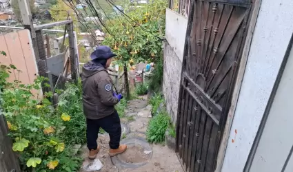 Cateo en la colonia Can de las Carretas