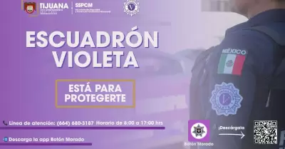Escuadrón Violeta