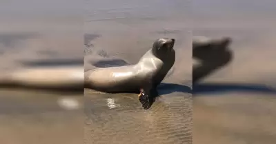 .