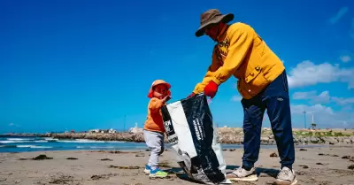 Limpieza de Playas