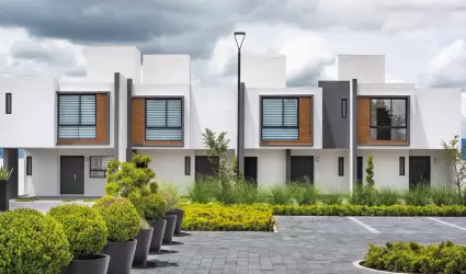 Ruba mantiene tendencia positiva al primer trimestre del 2025