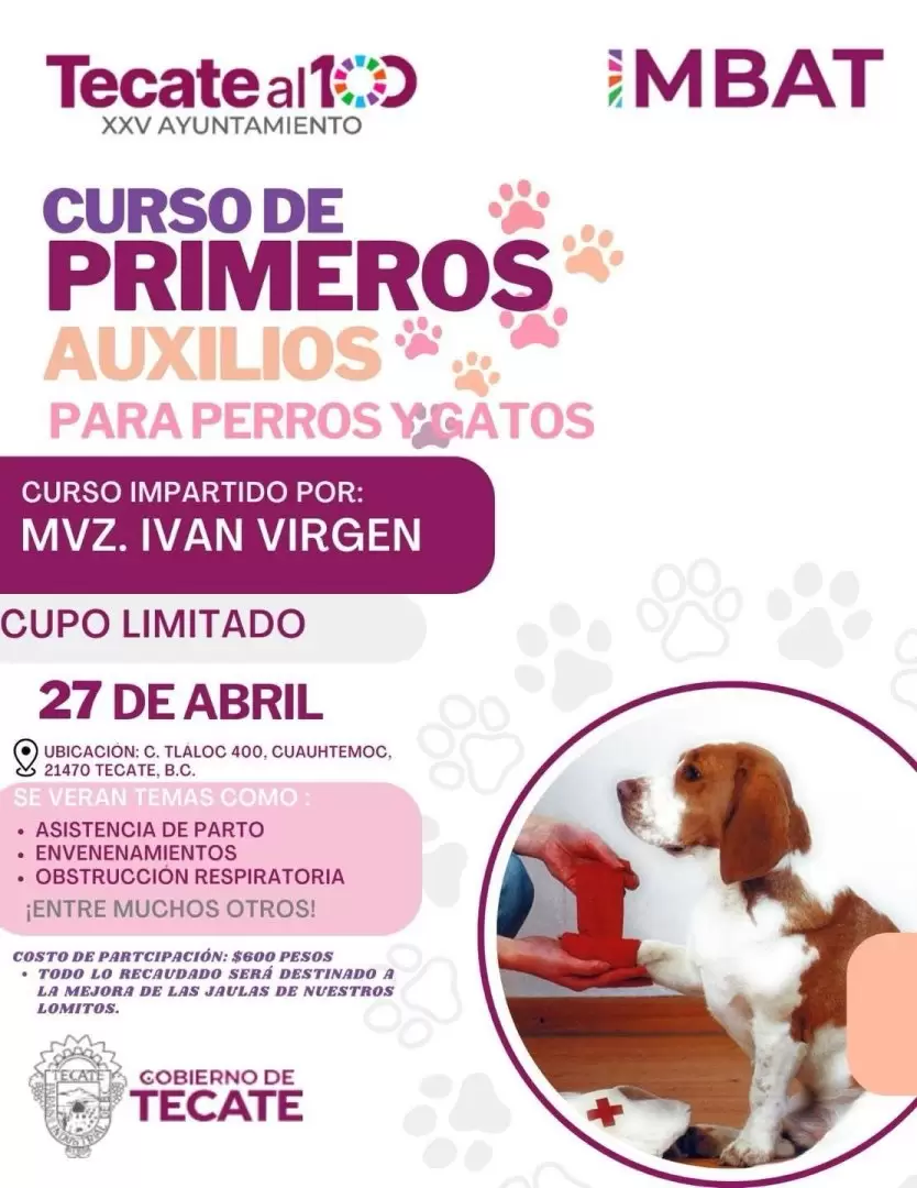 "Curso de primeros auxilios para perros y gatos"