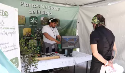 Terra Fest 2025 en la Avenida Revolucin