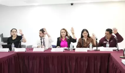 Comisin de Fiscalizacin