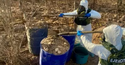 Centro de precursores qumicos en Elota, Sinaloa