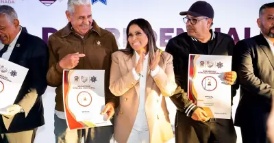 Seguridad publica