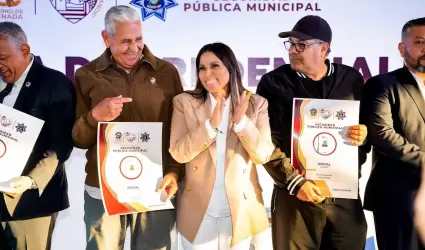 Seguridad publica