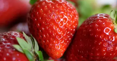 Fresas