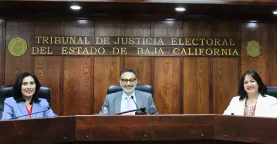 Nueva integracion del Pleno
