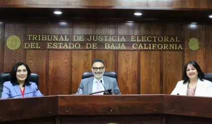 Nueva integracion del Pleno