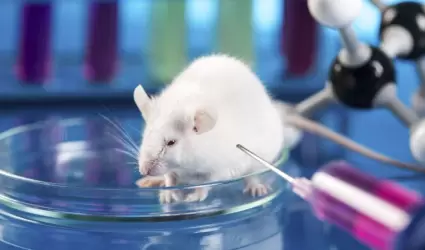 D�a Internacional del Animal de Laboratorio
