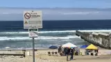Contaminación del mar