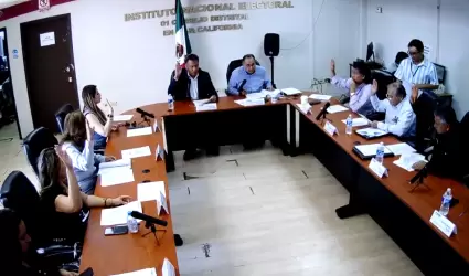 Apuerban solicitudes para participar en la Observacin Electoral del Proceso par