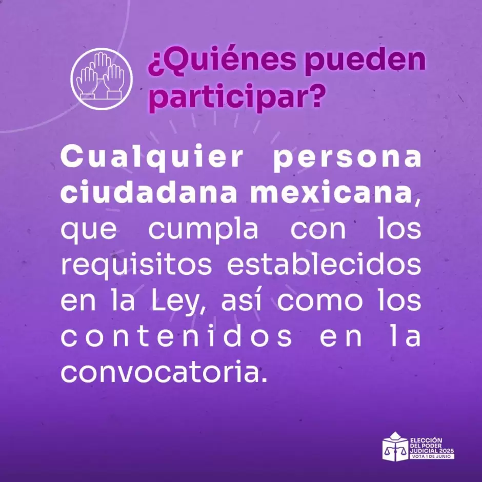 Apuerban solicitudes para participar en la Observacin Electoral del Proceso para elegir cargos del PJF