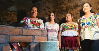 Programa Estufas Eficientes de Leña para el Bienestar