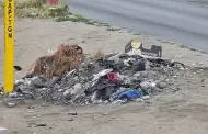 La mitad de las 3 mil toneladas de basura que Tijuana genera al da, es materia orgnica que se debe destinar a composta: CIGA