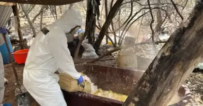 Narcolaboratorio en el poblado de La Palma, Sinaloa