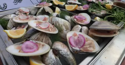 Pesca y Acuacultura