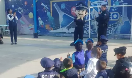 Elementos con nios