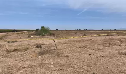 Fosas clandestinas en Sinaloa