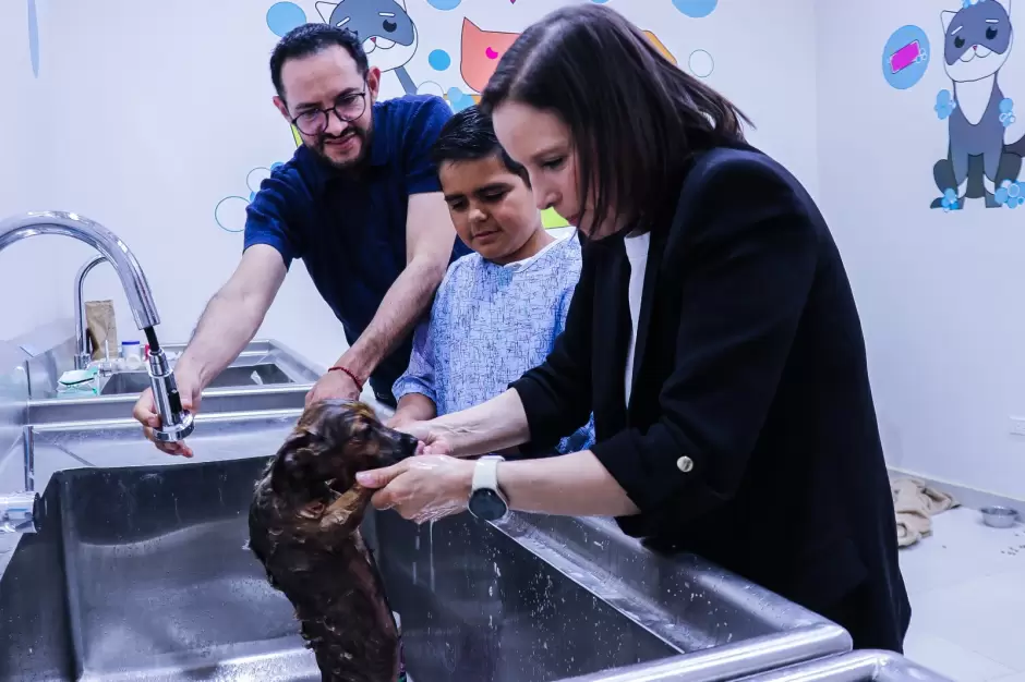 Nio Secretario de Medio Ambiente