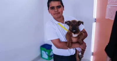 Nio Secretario de Medio Ambiente