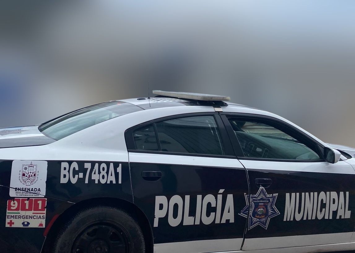 Elementos de la DSPM arrestan a masculino por el probable delito de ...