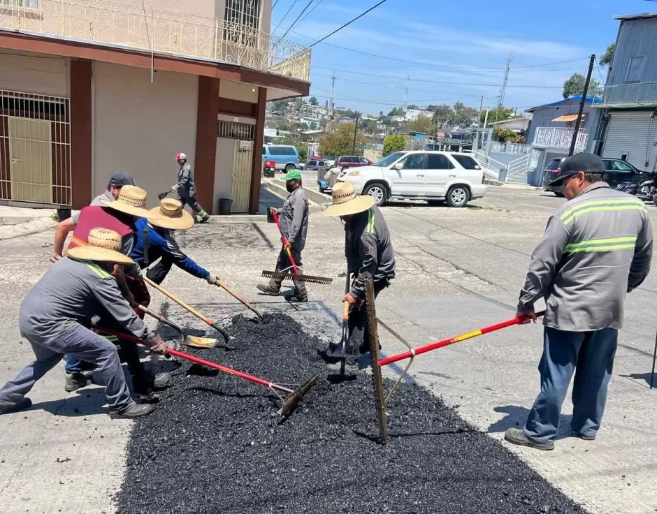 Atienden peticin de nio presidente honorario