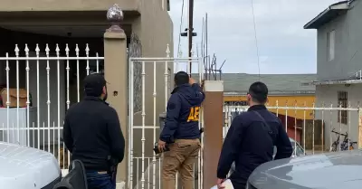 8 caninos vctimas de maltrato animal rescatados en la colonia Obrera