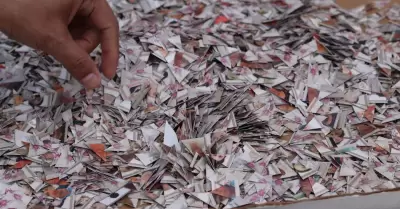 Destrucci�n de Credencial para votar INE