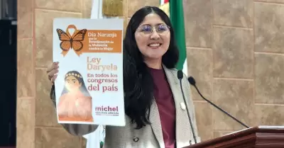 Diputada Liliana Michel Snchez Allende