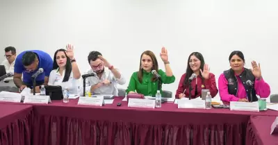 Comisin de Fiscalizacin