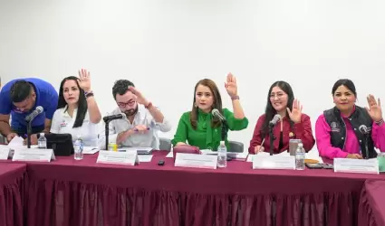 Comisin de Fiscalizacin