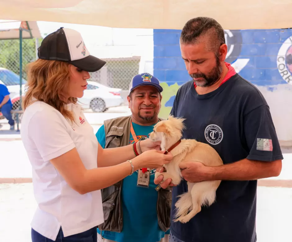Jornada de vacunacin casa por casa
