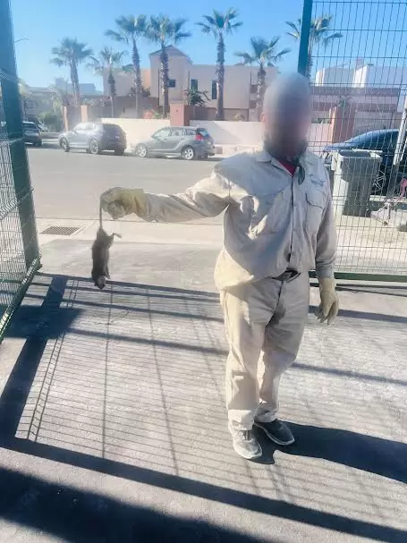 Vecinos de Paraíso del Río denunciaron problemas sanitarios por actividad comercial informal