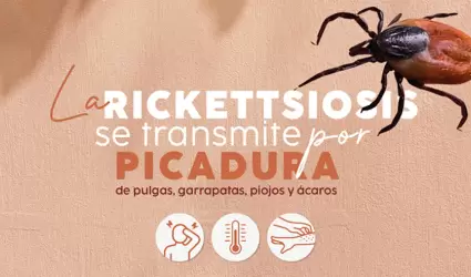Prevencin de la rickettsiosis
