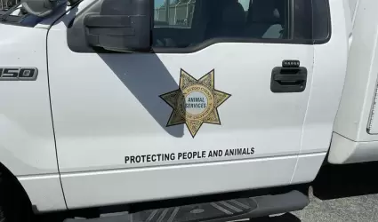 Decomiso de animales de centro holstico en Julian