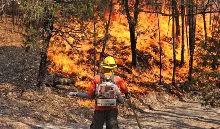Incendios forestales